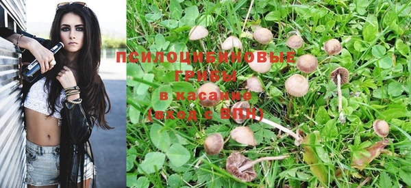 COCAINE Майский