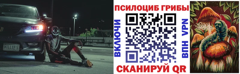 Псилоцибиновые грибы Cubensis Хадыженск