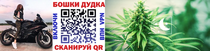 Шишки марихуана конопля  Хадыженск 